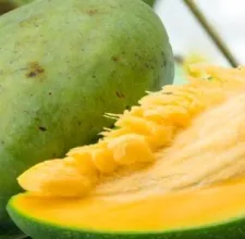 African mango fruit cut open